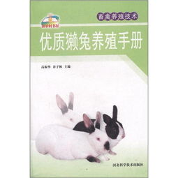 兔子饲养守则小说