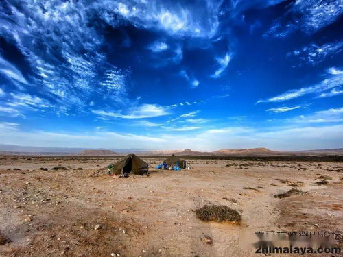 世界著名沙漠探险活动：冒险与挑战的象征