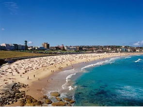 悉尼最著名的海滩