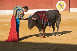 西班牙斗牛简介和来源