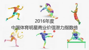中国体育明星商业价值开发研究