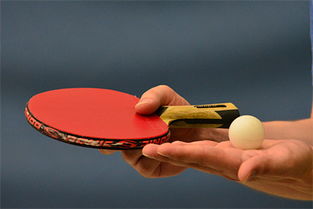乒乓球运动的协调性是什么，乒乓球运动的协调性