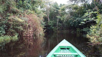 亚马逊丛林冒险