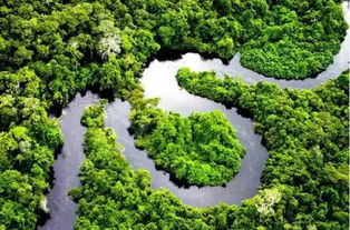 亚马逊雨林的生态之旅有哪些