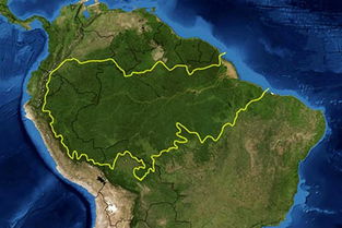 亚马逊雨林作用是什么