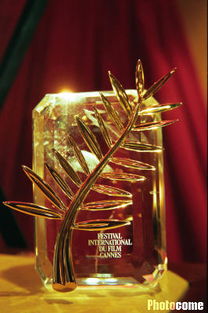 法国戛纳国际电影节的最高奖项