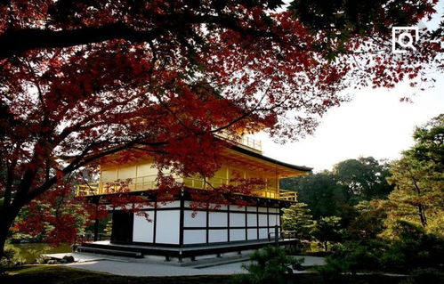 日本传统文化与现代文化的融合