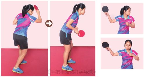 乒乓球身体协调性训练教案