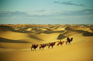 穿越撒哈拉大沙漠的人