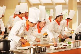烹饪技术和配料在中国各地差别很大翻译